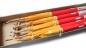 Preview: JGW Berkholz Bengala Tricolore